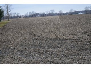 Property photo 31 - 175 Acres Offered in 5 Tracts - Tontogany, Ohio Farm Land Auction